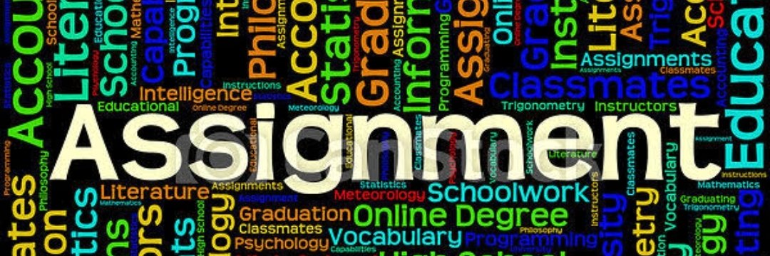 ASSIGNMENT HELP 📘📖 tweet media