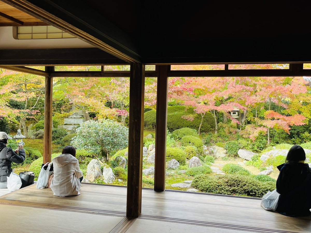 LoveYellowKage's tweet photo. 庭園は見頃
悟りの窓、迷いの窓はまだもう少し

#鷹峯源光庵 https://t.co/gEFzGniU72