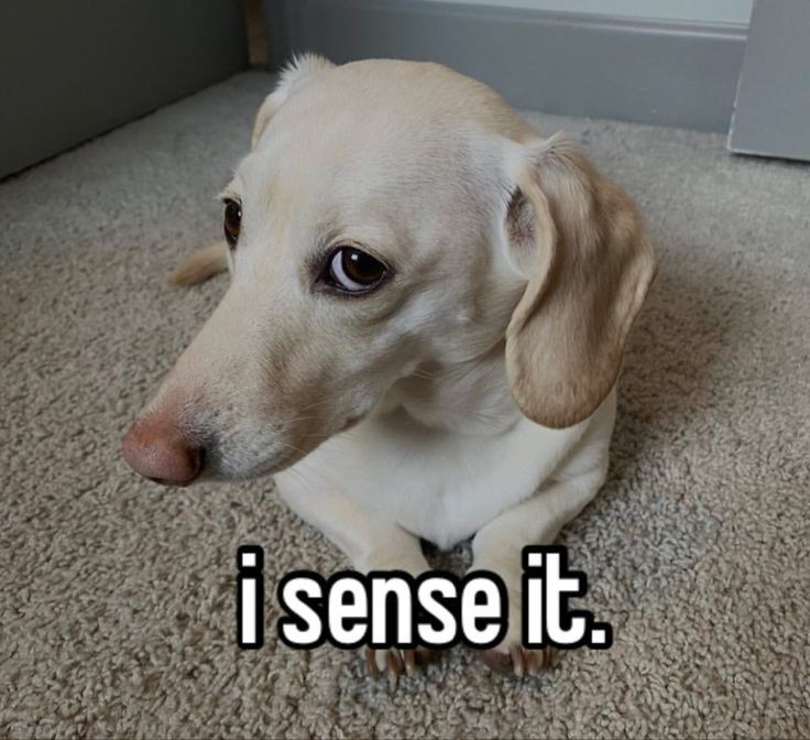 ILLUSION_MXSTER's tweet photo. “Oops—” https://t.co/LSC6x35pWI
