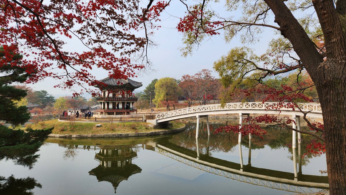 <🍁곱게 물든 단풍잎과 함께 경복궁 향원정 산책 하던 날🍂>

❤️❤️단풍잎이 빨갛게 물드는 아침.
건청궁, 향원정 내부 특별관람
"조선의 빛과 그림자" 행사 중❤️❤️

#경복궁 #가을 #단풍잎 #산책
#향원정 #내부특별관람 #사전예약제
#조선의빛과그림자 #목요일금요일만 #11월29일까지 #고종의시선