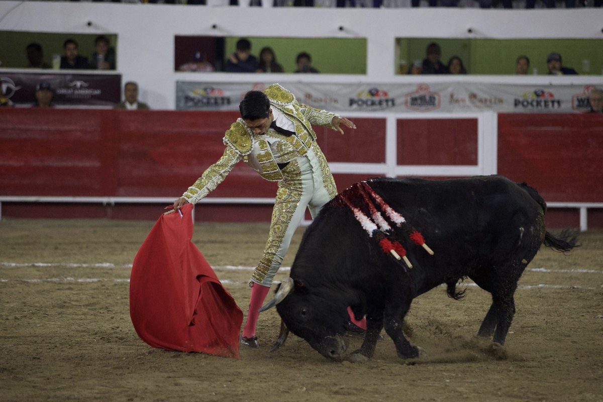 Prensa Sergio Flores tweet media