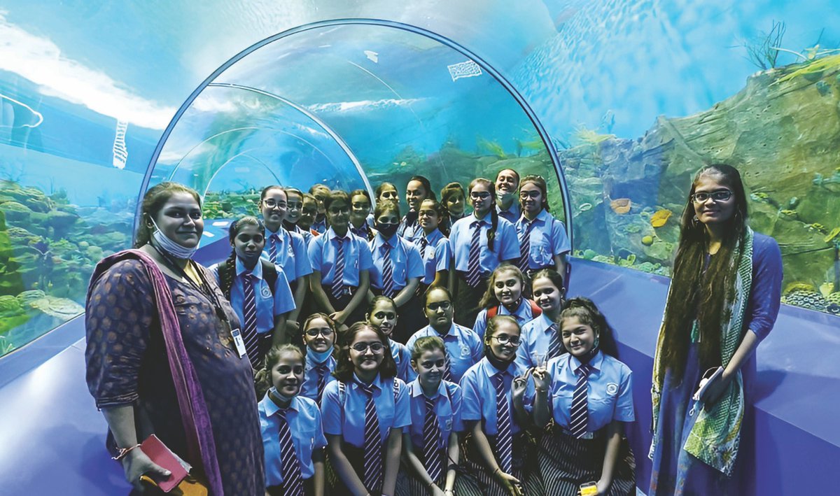 narottamsahoo's tweet image. Happy #FibonacciDay!

Celebrating the genius of #LeonardoFibonacci, whose sequence reveals #nature&apos;s perfect patterns, from spiraling #galaxies to blooming #flowers.

Let’s embrace the #beauty of #math and its endless possibilities in shaping our #world!

@dstGujarat…