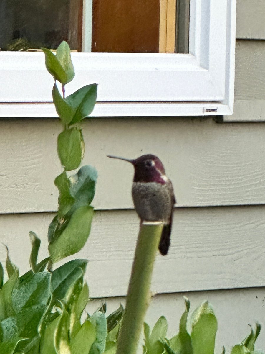 You turn 50 and suddenly you think your a nat geo photographer #yournot