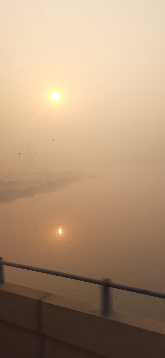 rajputkavya30's tweet photo. Every winter sunrise I chase is a spark of warmth igniting my dreams. #sunrise #morning #winter https://t.co/vxF2OuJImg