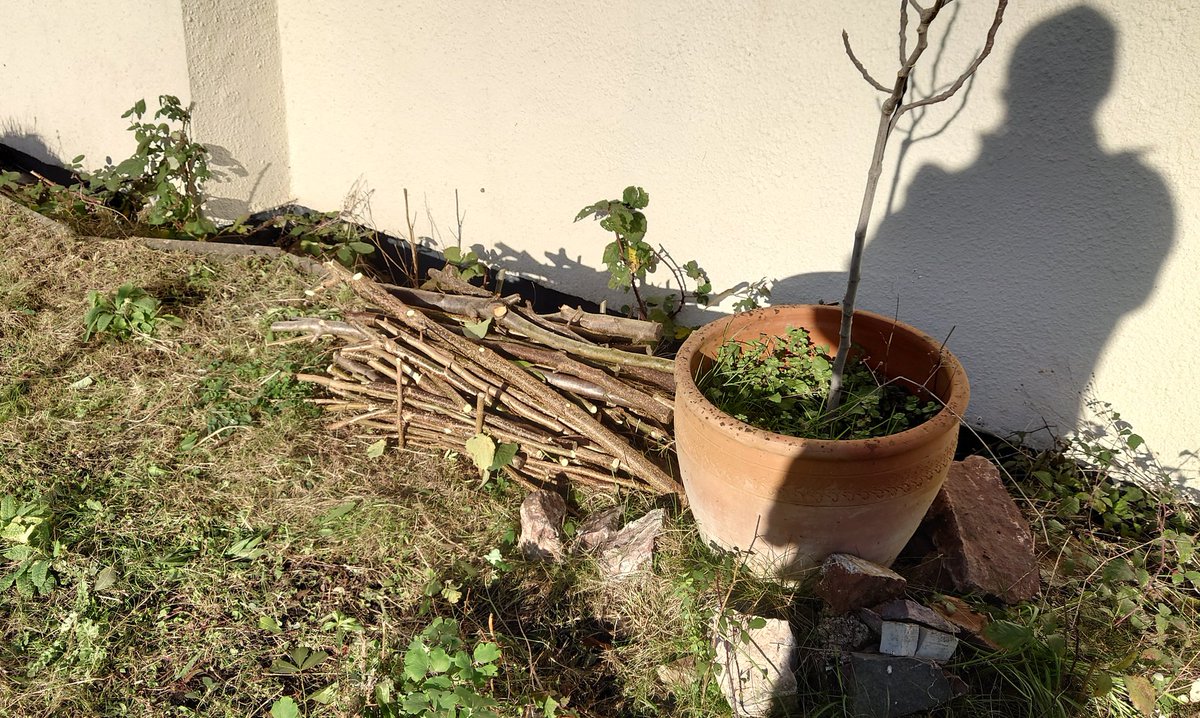 Luke Keeno 🇺🇦 tweet media