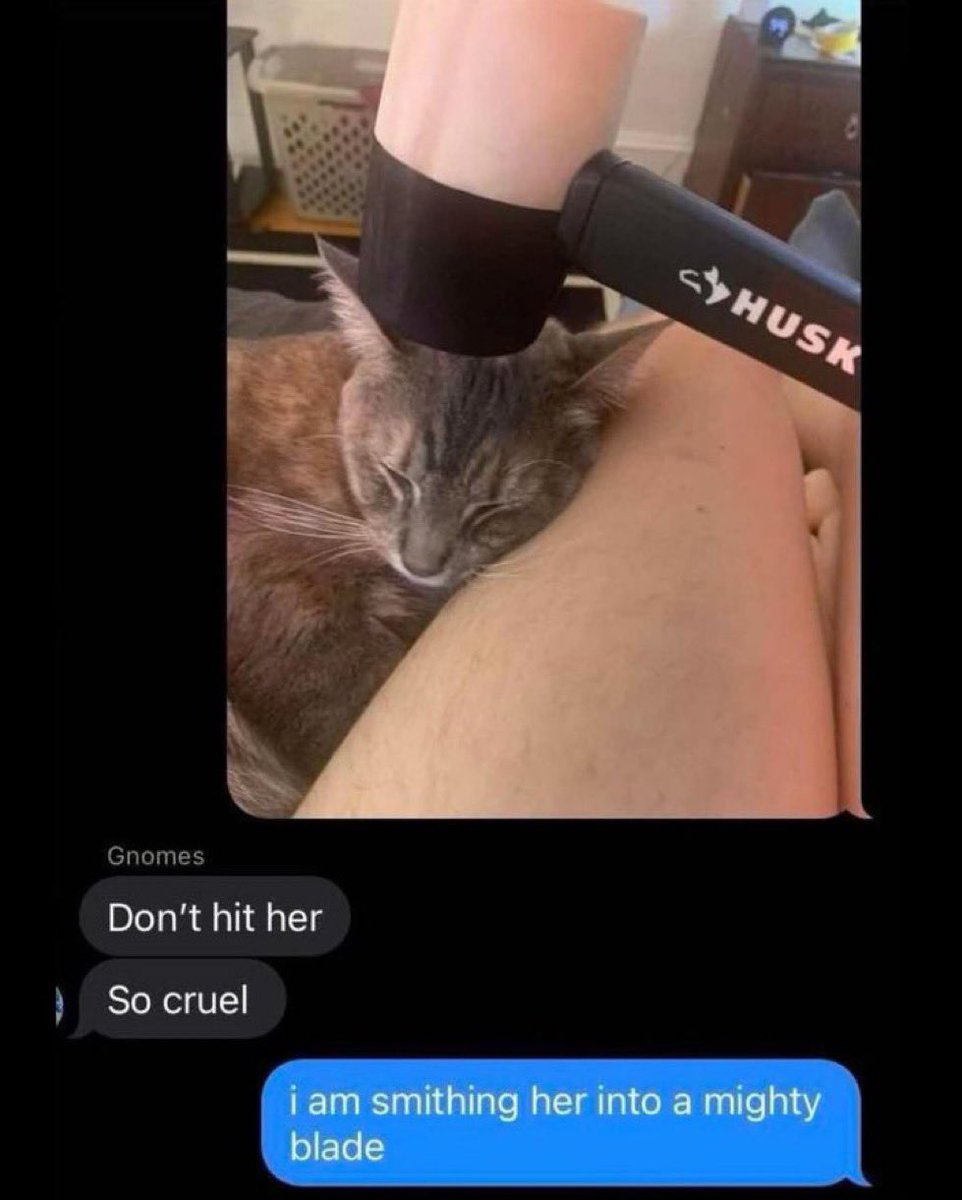 ocedumbass's tweet photo. @Catsillyness @Pohssum @Mozzi_rl https://t.co/thmQwHWvLy