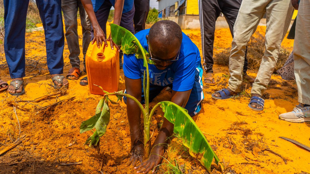Cumogadishu's tweet image. Regenerative Resilience Design Site Demonstration Training at City University of Mogadishu.