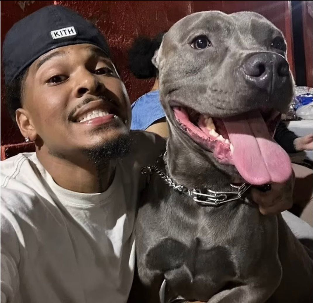 Yoda.ETH 🦧 tweet media