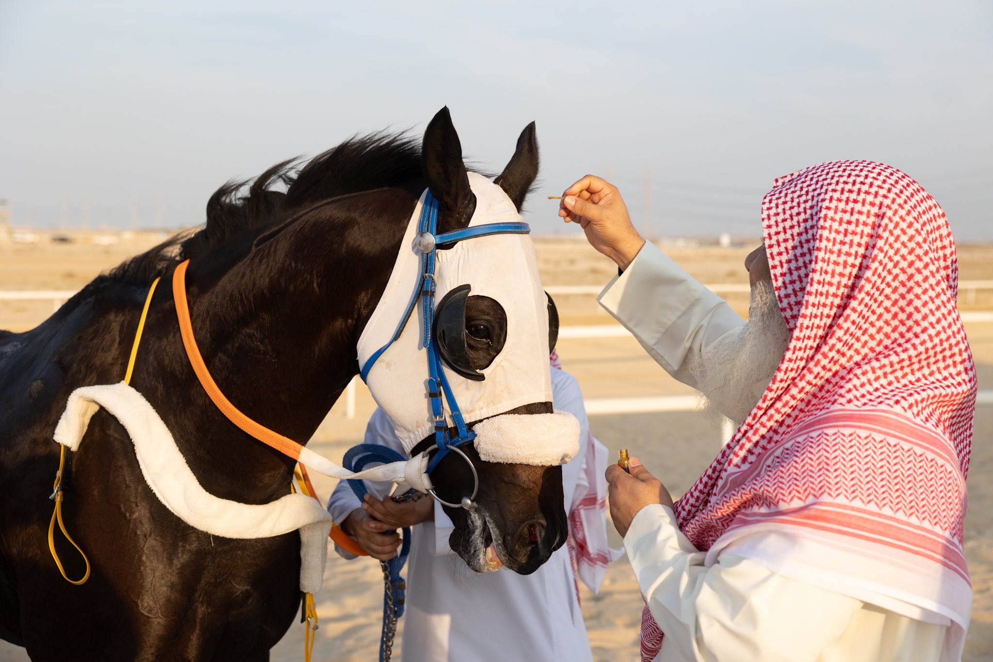 الصورة