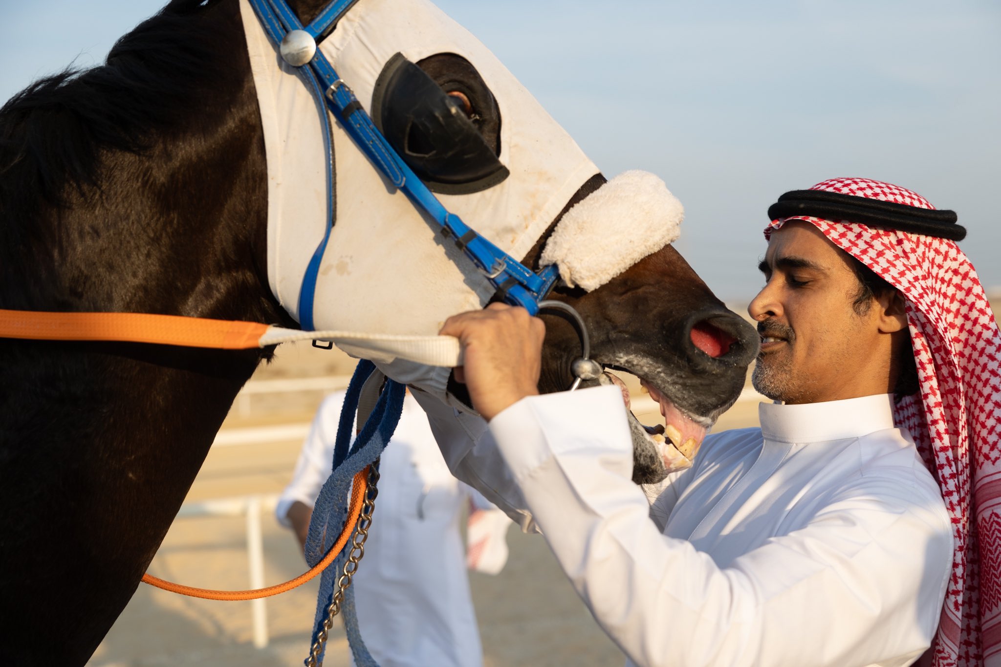 الصورة