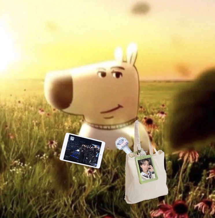 what an amazing day to be a carat