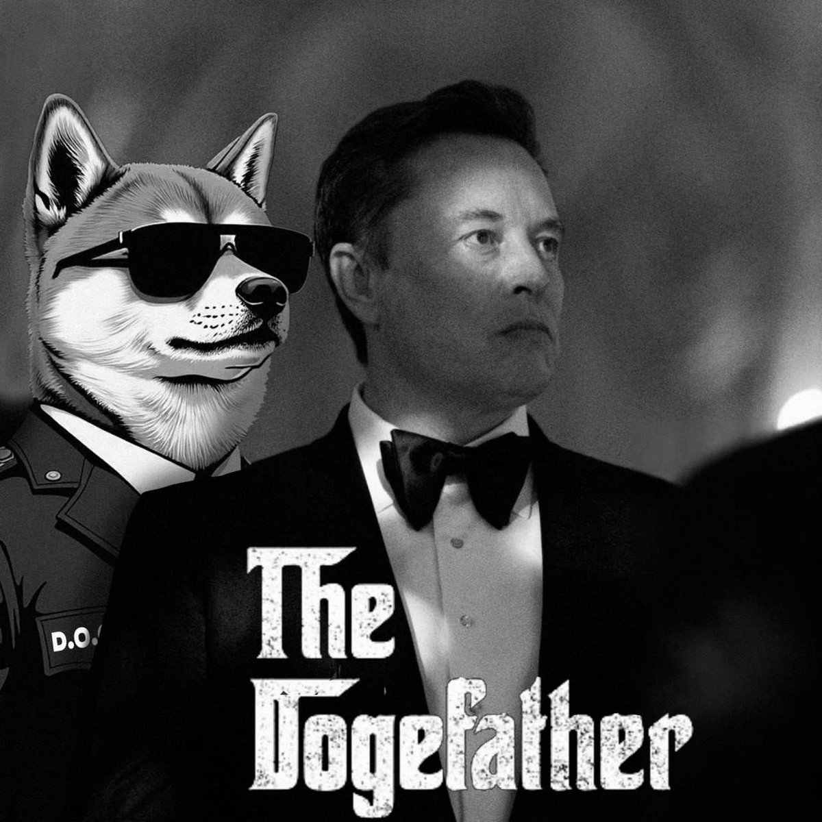 Morning/Afternoon/Evening Doge Agents! 

Lots of exciting things cooking in the Doge kitchen! Jump into our TG and join the army now: t.me/DOGE_ON_SOLANA

dexscreener.com/solana/3pvml7m…

#DogeOnSo #MakeGovernmentEfficientAgain #Elon_Musk 

$DOGE CA: