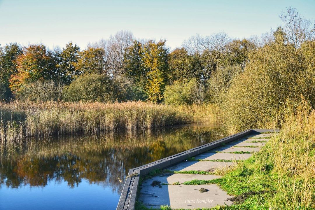 Almereviedereen's tweet photo. Genieten van de natuur in Almere Haven.
📸 Ruud Kompier
#almere
#almerehaven
#genieteninalmere https://t.co/ZB1WDsWG7l