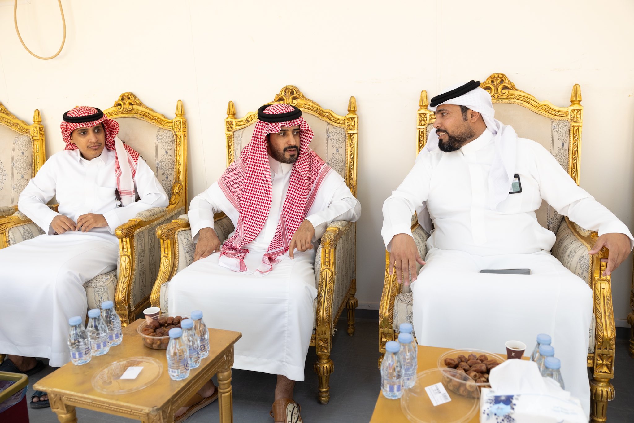 الصورة