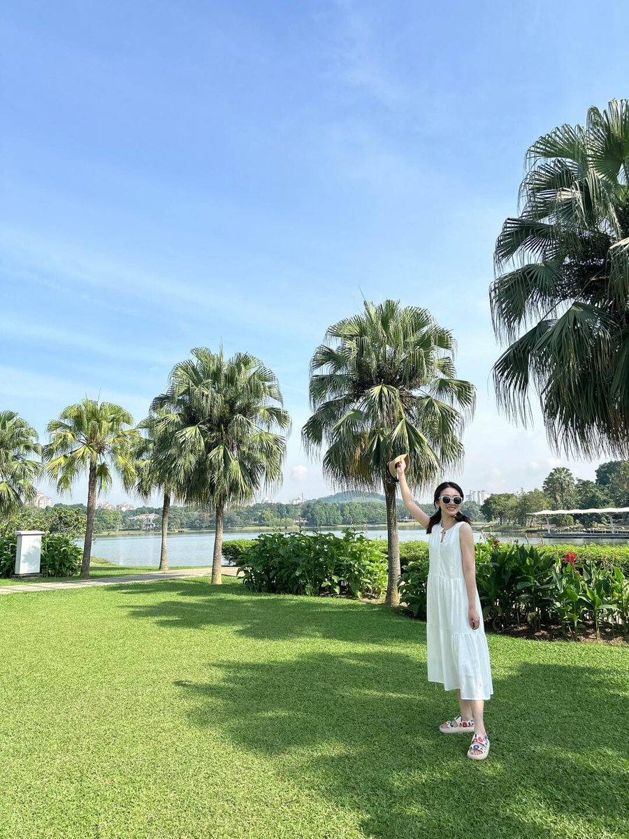 PLLAddictsBRd's tweet image. The sun is shining and the weather is great