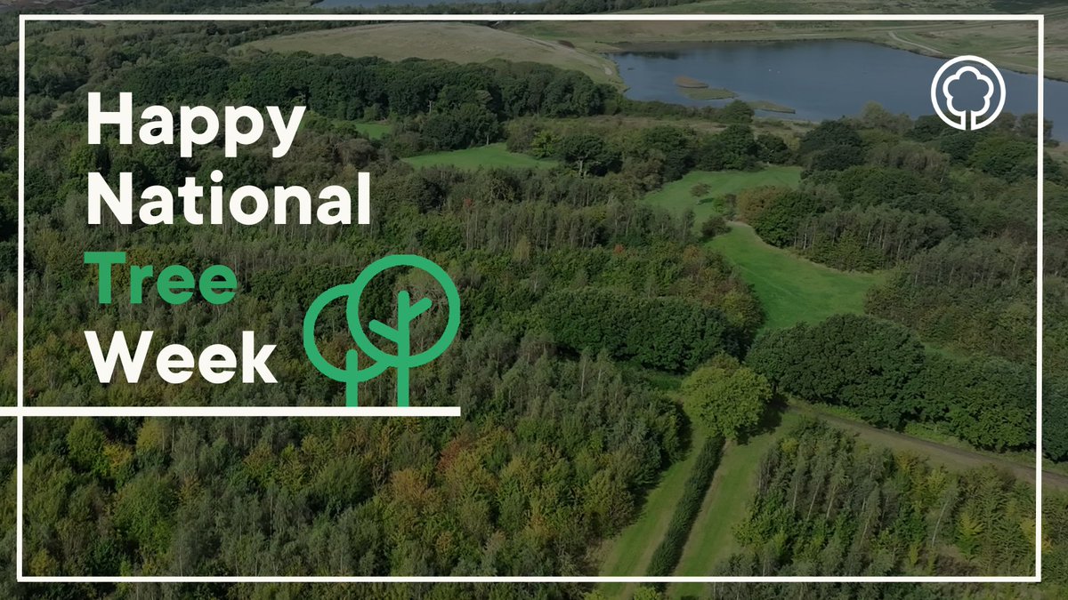 Happy #NationalTreeWeek! 🌳 We’ve planted over 9.5 million trees in #theNationalForest, creating wildlife habitats, spaces for wellbeing, and helping to tackle climate change. Here’s to growing a greener, healthier future for everyone! 💚🌍