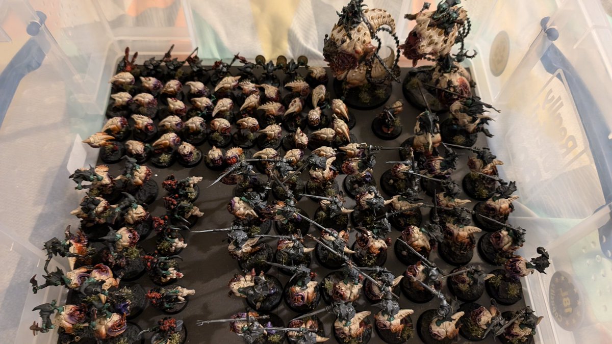 Dominic Benitez tweet media