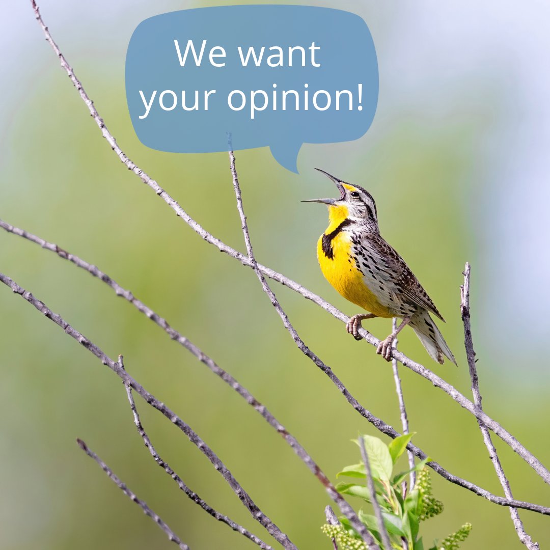 Bird Conservancy of the Rockies tweet media