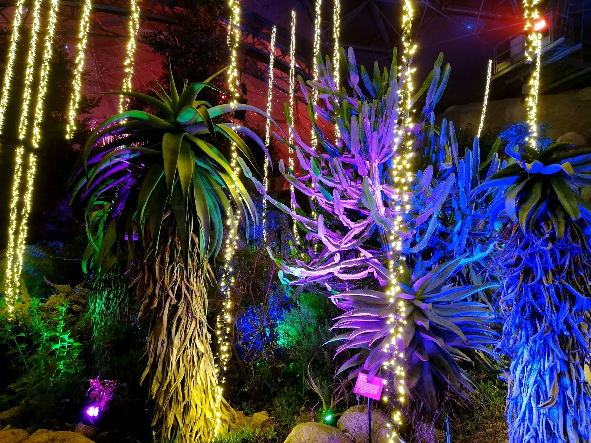 Emma Ferguson tweet media