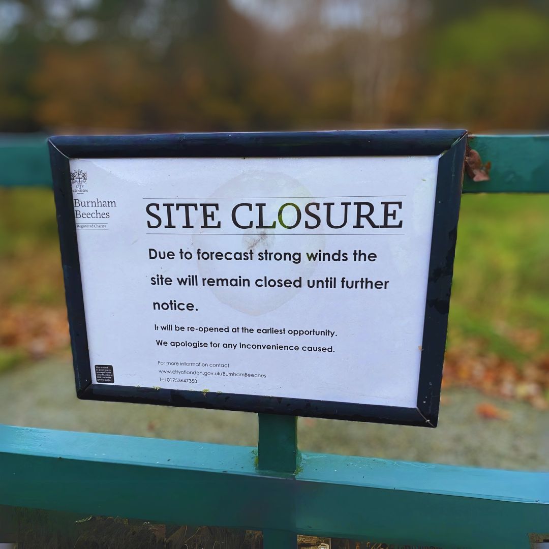 🚨 Site closure notice 🚨

Due to high winds, and for the safety of our visitors, Burnham Beeches will be closed from 11am today. Please avoid visiting the reserve during this time; check back for updates before planning your visit. Stay safe and thank you for your understanding.