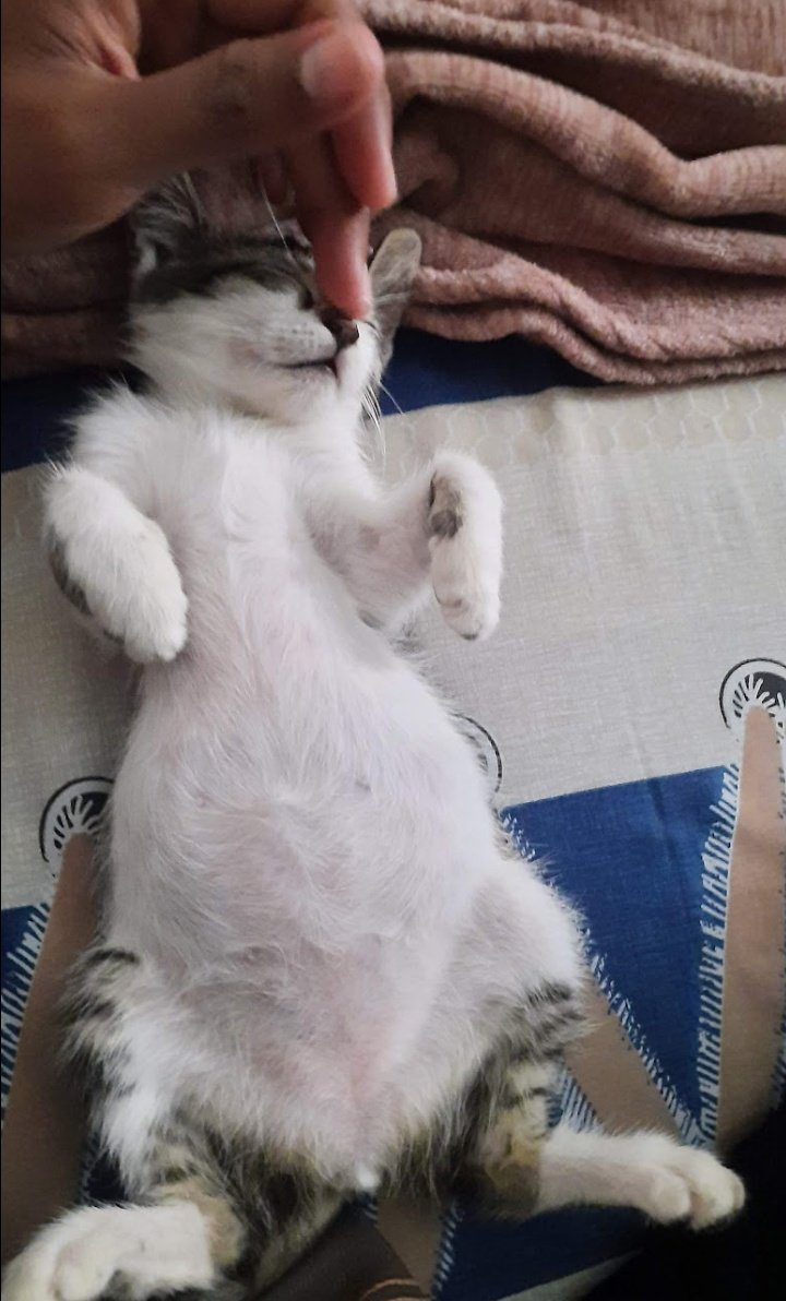 semaruci_ilham's tweet photo. Day 1 banget ya ni ncan 🥰 https://t.co/AdKVO1QoHc