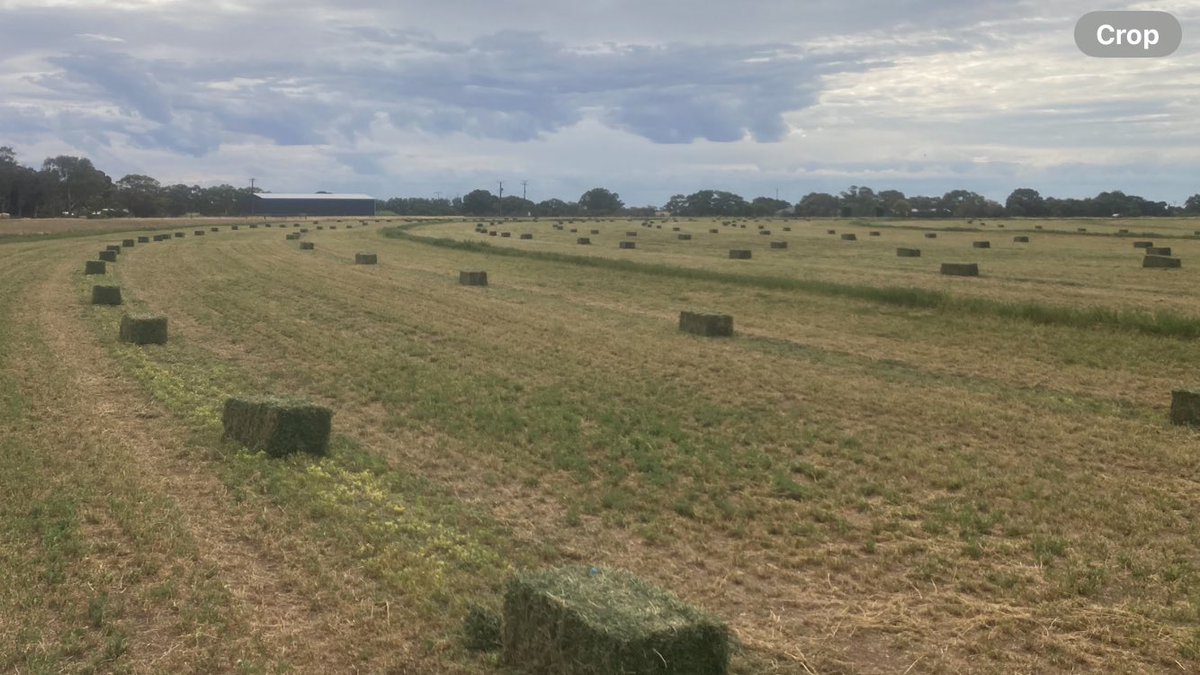 🧢James Stacey tweet media