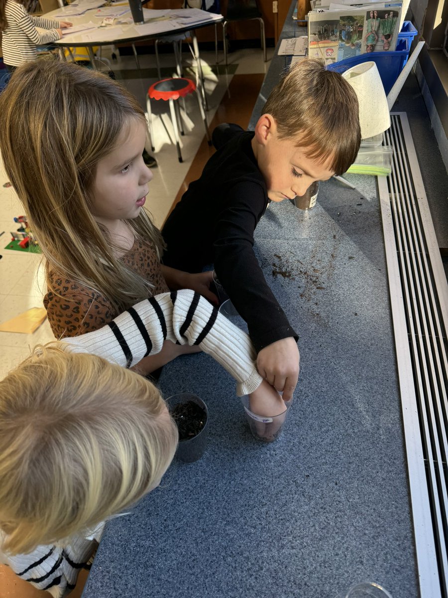mrsdeltinsclass's tweet photo. Planting and caring for our plants! #fhleads https://t.co/8JREPEaX45