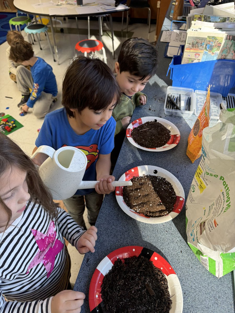 mrsdeltinsclass's tweet photo. Planting and caring for our plants! #fhleads https://t.co/8JREPEaX45