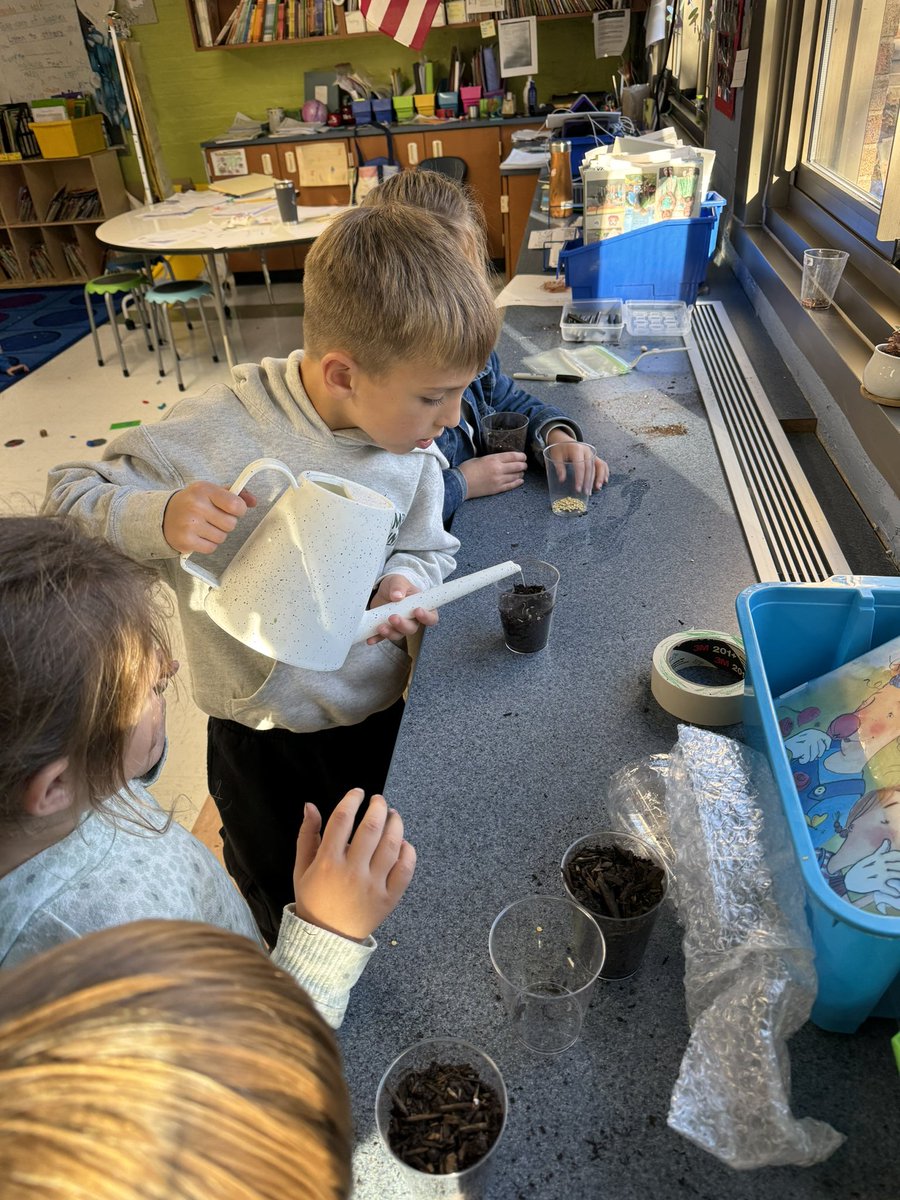 mrsdeltinsclass's tweet photo. Planting and caring for our plants! #fhleads https://t.co/8JREPEaX45