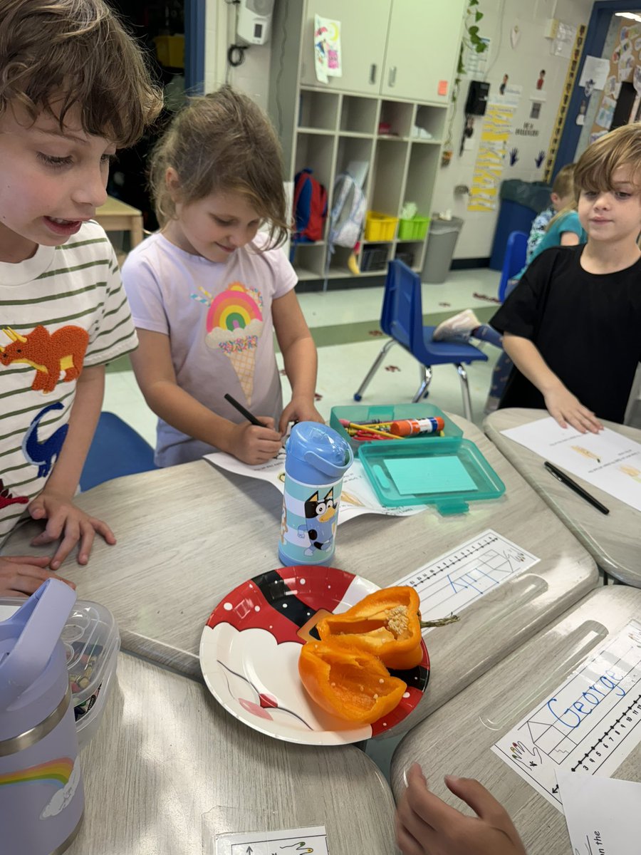 mrsdeltinsclass's tweet photo. Exploring peppers! #fhleads https://t.co/yFUXjlQyrE