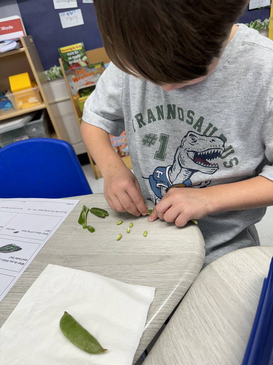 mrsdeltinsclass's tweet photo. Comparing string beans and snap peas! #fhleads https://t.co/UL7e9RkpAs