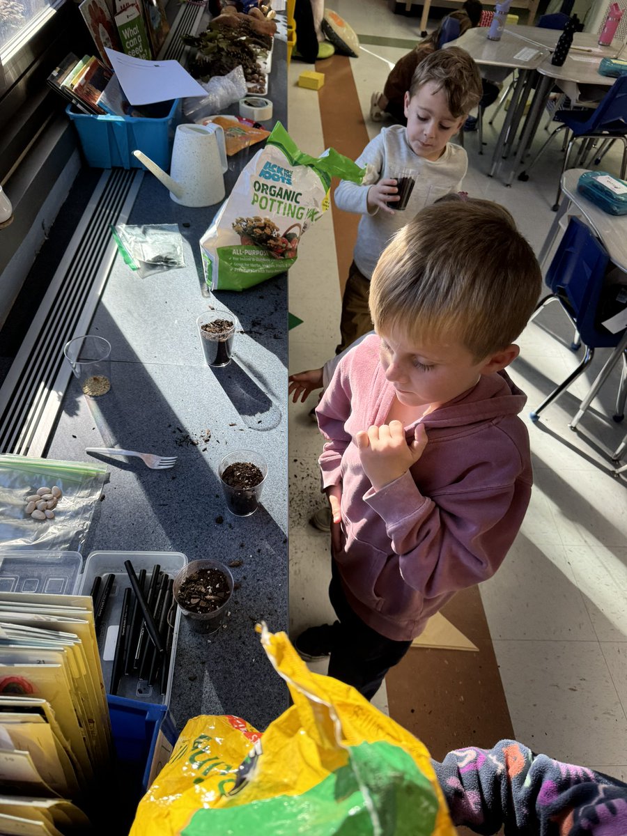mrsdeltinsclass's tweet photo. Planting and praying our seeds grow! #fhleads https://t.co/eIS14dF0aF