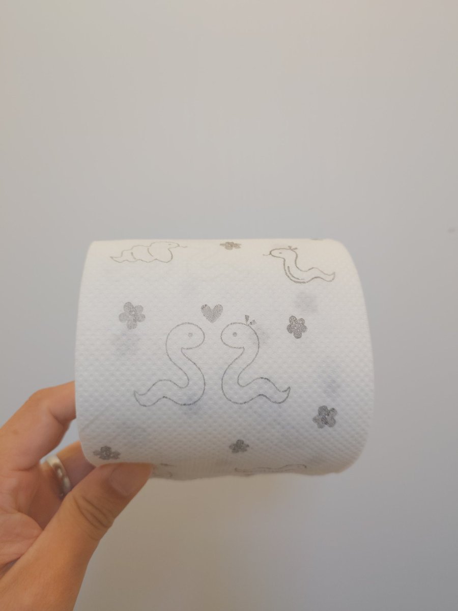 CAINZのトレペゲットした。
娘に💩呼ばわりされたけど満足です。