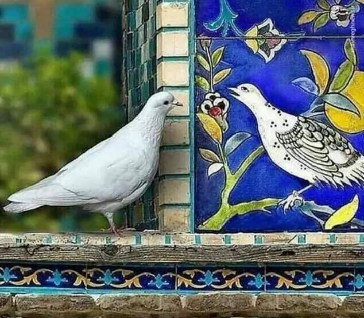 <a href="/ferrarisergio4/">@ferrarisergio4</a> 🙃🙂🤍🎶🤍