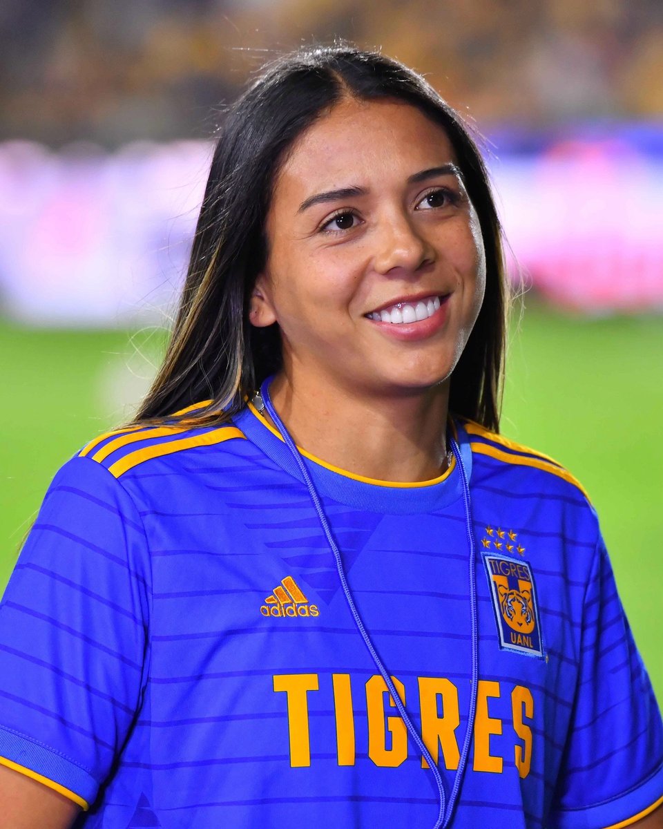 🐯 Se siente como en casa