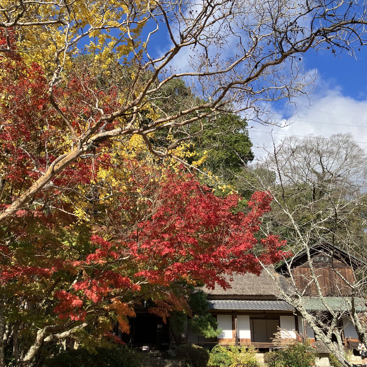 隕石が御神体？の星神社⛩️
紅葉も見てきた