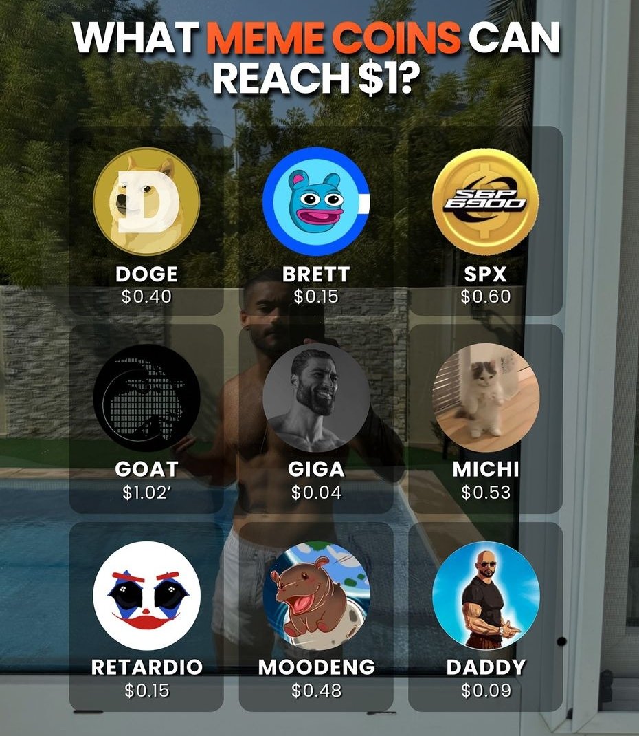 100X Crypto Hunter 🌟 tweet media