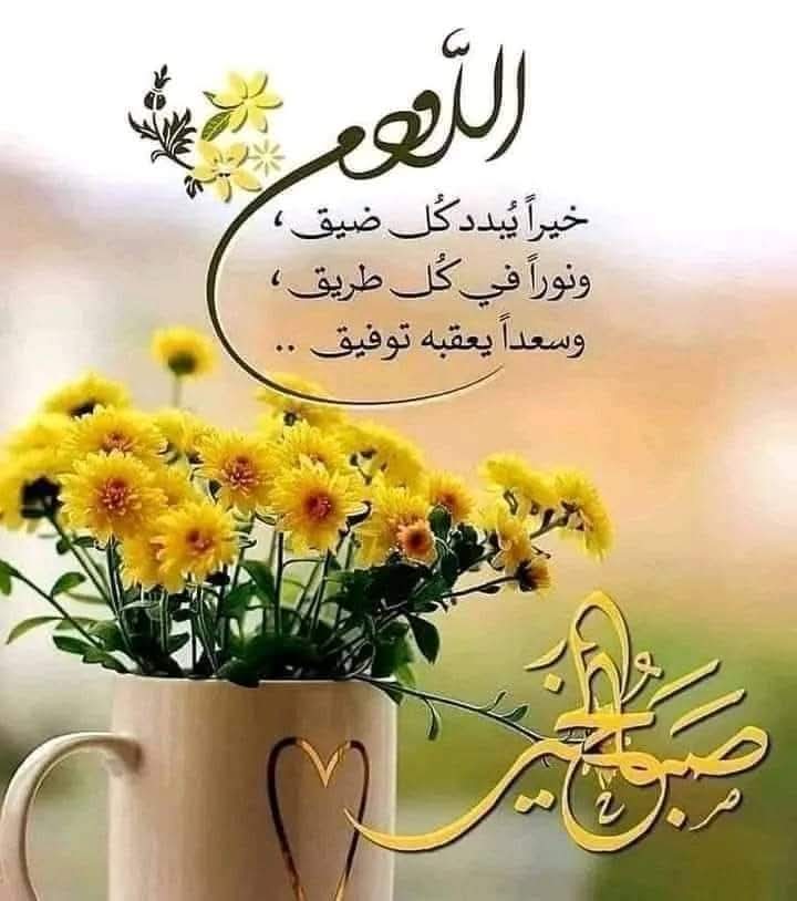 alsyd_amany's tweet photo. https://t.co/jEcHbPrIti