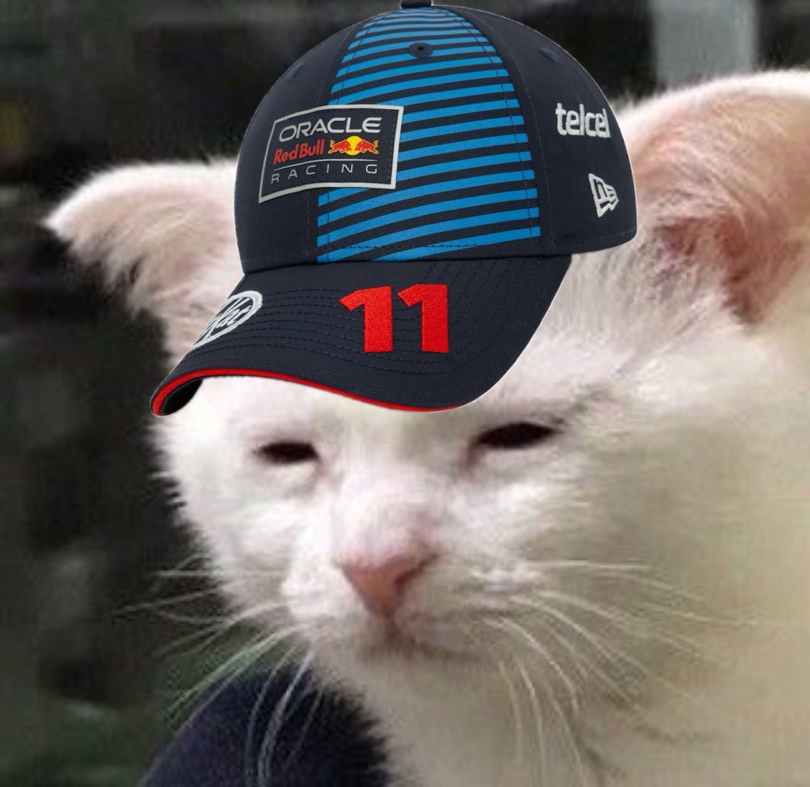 laufelicciano's tweet photo. Me desvelé para ver a Checo eliminado en Q1 a pesar de que ya sabía que pasaría https://t.co/08YQ3QKoCX