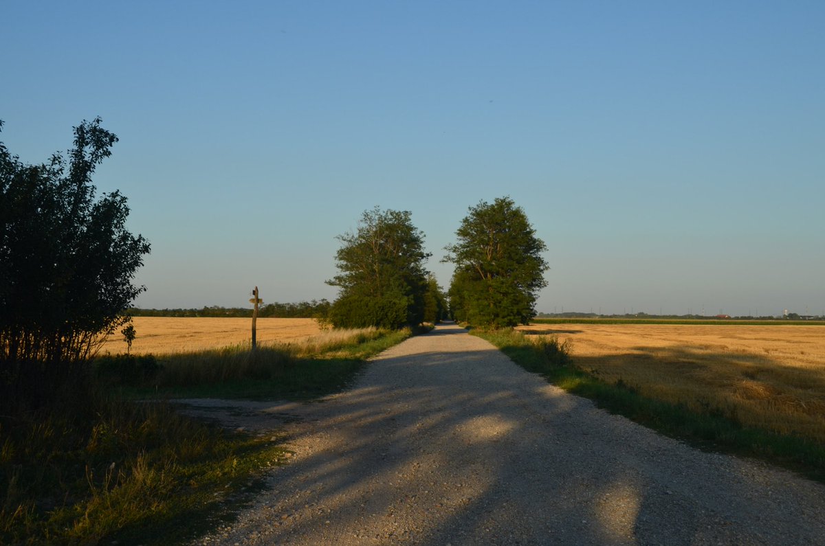 Fronteiras tweet media