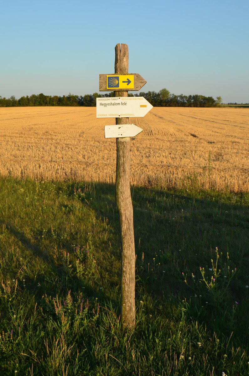 Fronteiras tweet media