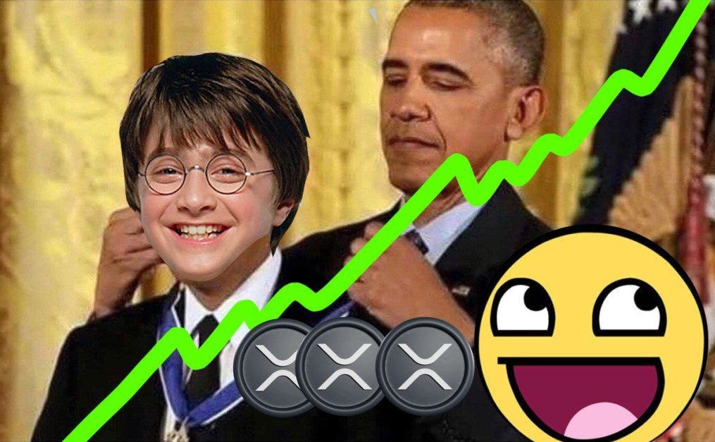 Harry Ripple tweet media