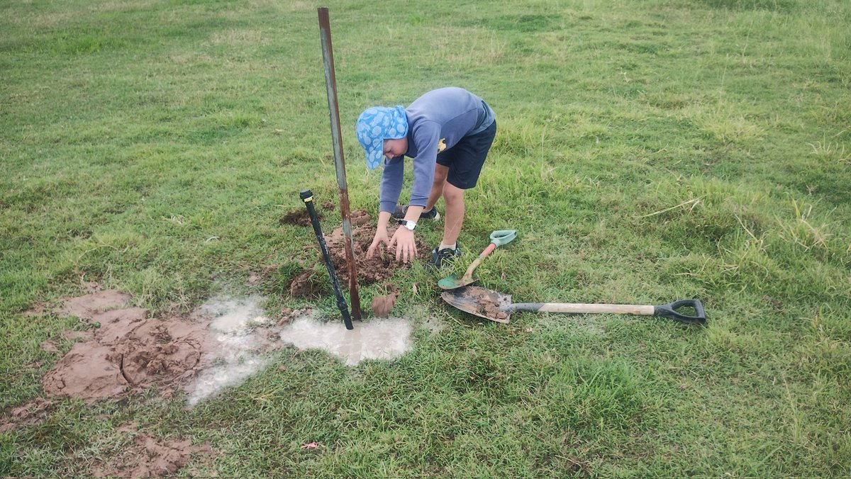 Joe Cautec tweet media