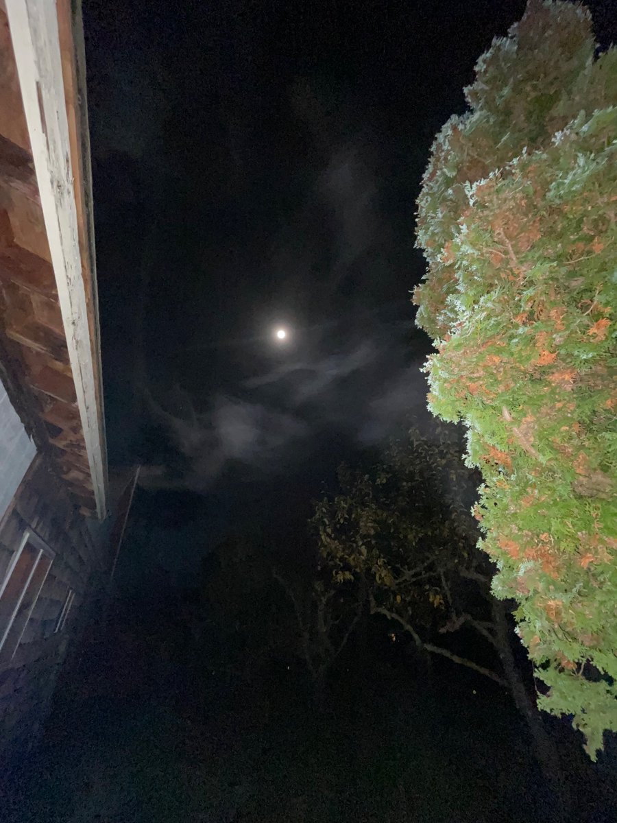 Max_ART_Max tweet media