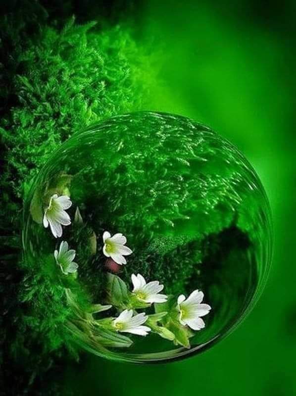 Good night everyone
