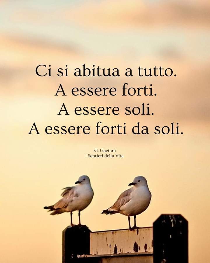 chittarid's tweet photo. Questa è la vita , buongiorno ☕🌹😍���🖐️ https://t.co/3TzZb61Qz8