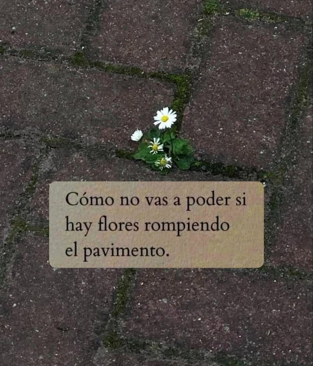 En Júpiter (@en_jupiter_) on Twitter photo 