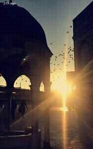 omyma yousef tweet media