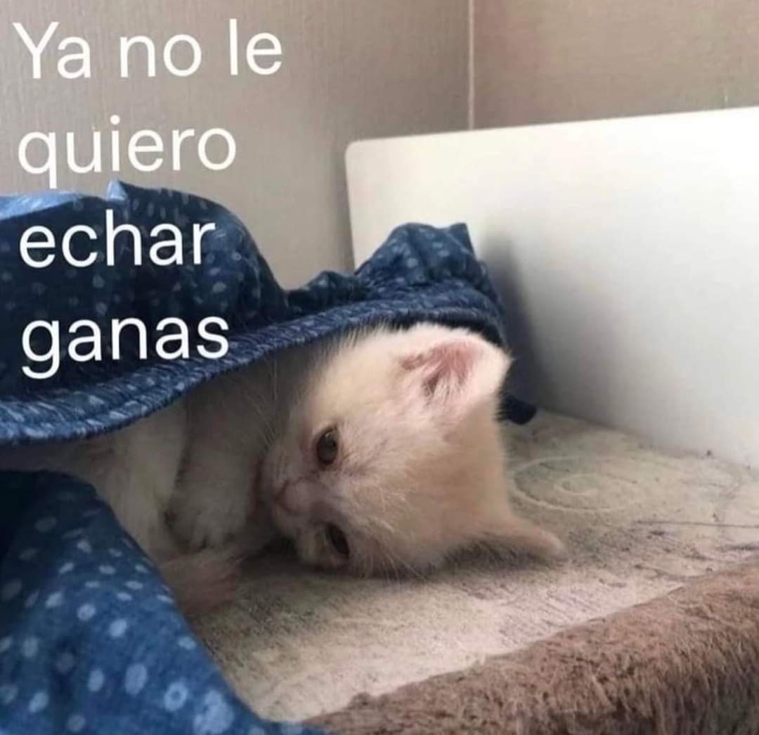 En Júpiter tweet media