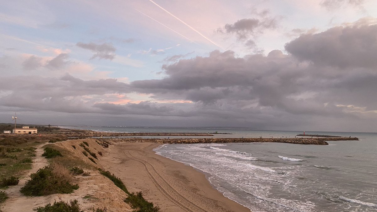 JoseLSaezPastor's tweet image. Buenos días y feliz fin de semana desde las dunas de #Playa #Vivers y desembocadura del #Segura @GuardamarTurism #Deporte #MedioAmbiente #Naturaleza #Playas #Gastronomía #Cultura #Patrimonio #Comercio #Servicios #CalidadVida @MeteOrihuela